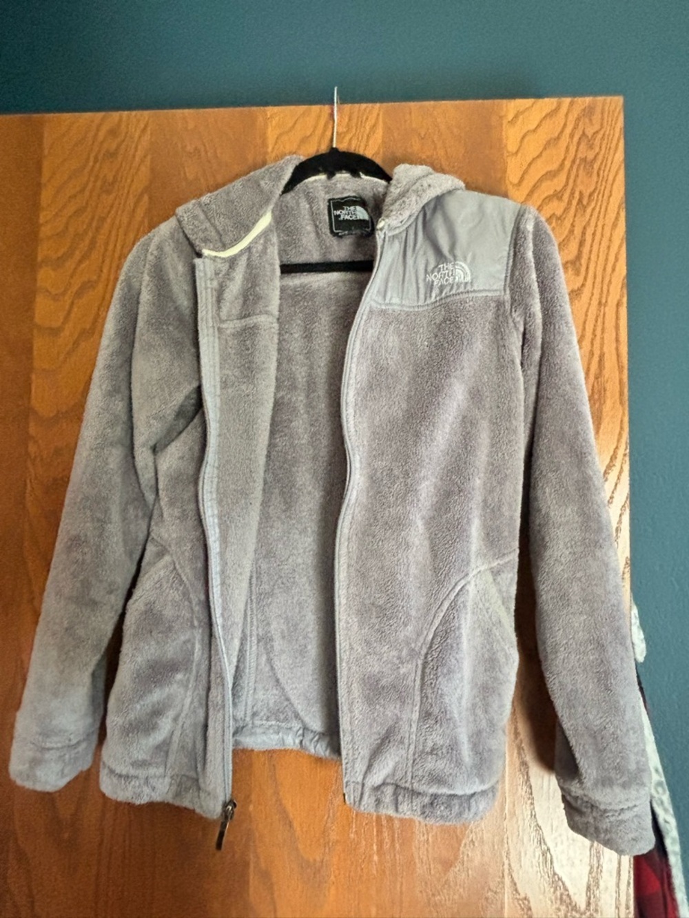 The North Face Light Gray Plush Hooded Fleece Jacket